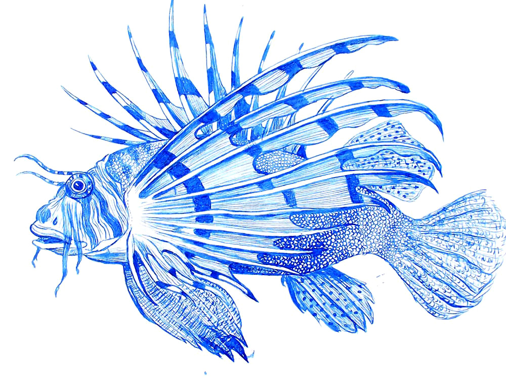 Dibujo artístico pez escorpión creado con tinta china de color azul Pez escorpión o Scorpaenidae