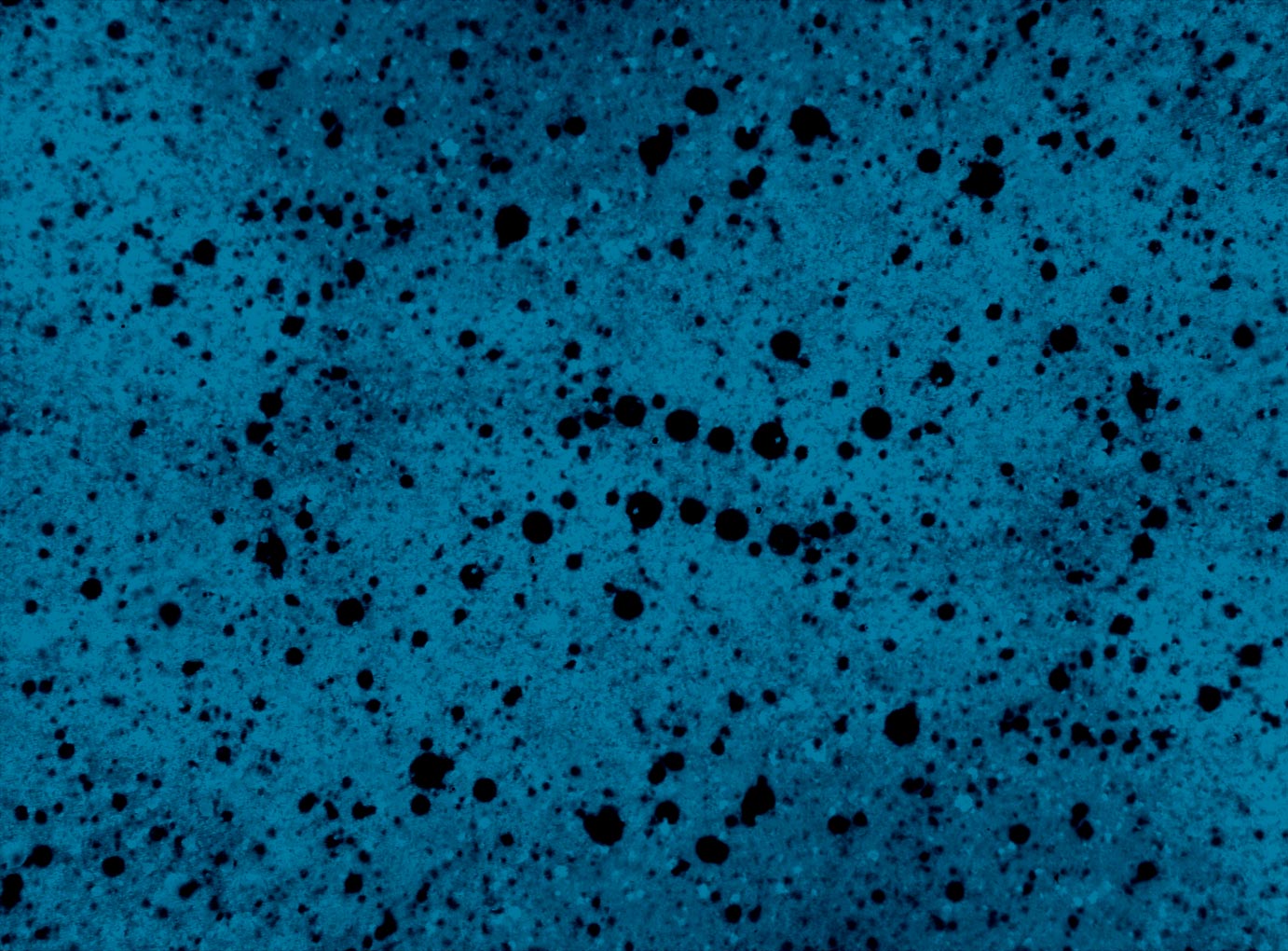 Ilustración gratis - Textura azul con puntos negros