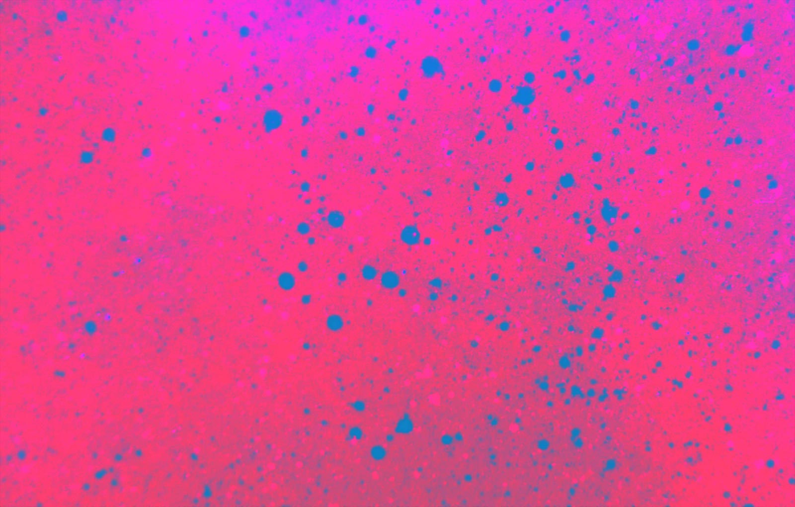 Ilustración gratis - Textura rosa fosforescente con puntos