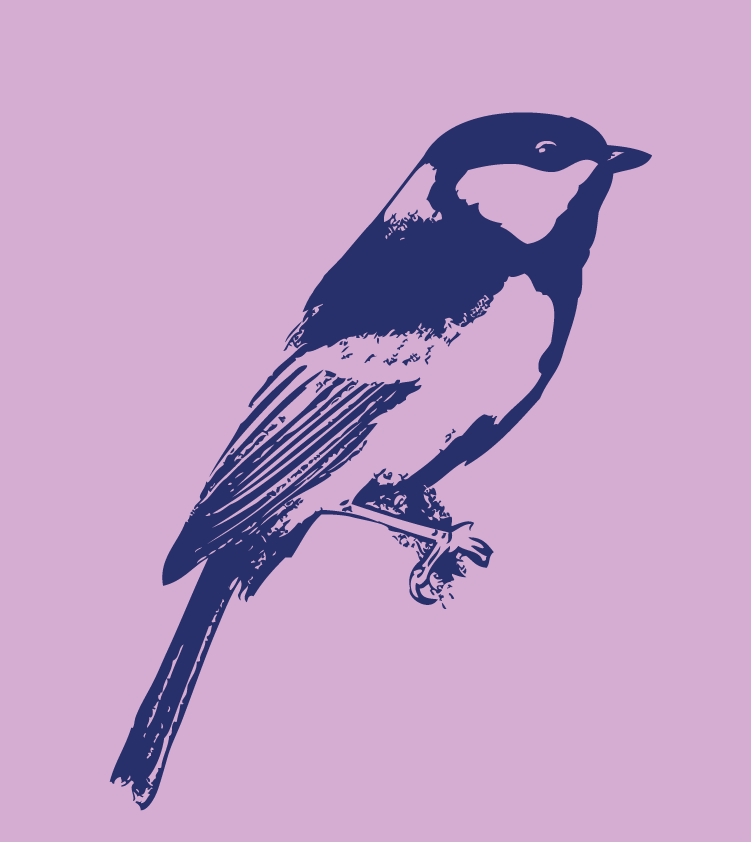 Ilustración en tonos morados de la silueta del pájaro Cabernero común dibujo pájaro Cabernero común