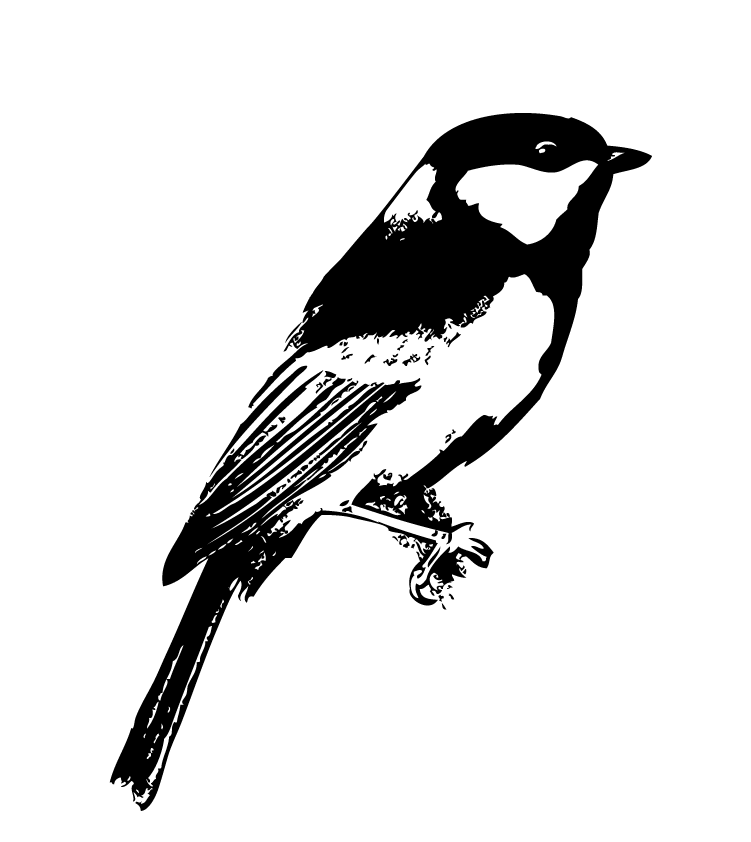 Ilustración del pájaro Cabernero común en blanco y negro Ilustración pájaro en blanco y negro
