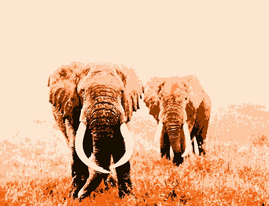 Ilustración de dos elefantes en África Ilustración de dos elefantes en África versión colores naranjas