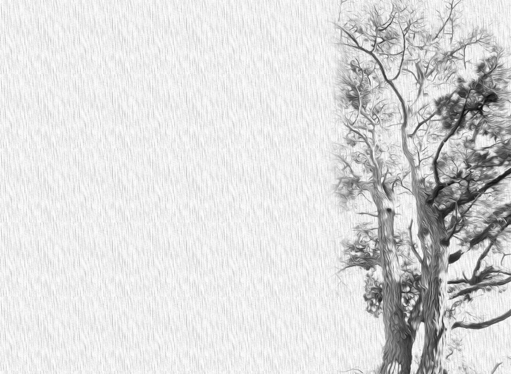Imagen de fondo con la pintura y tonos grises pintura digital arbol gris