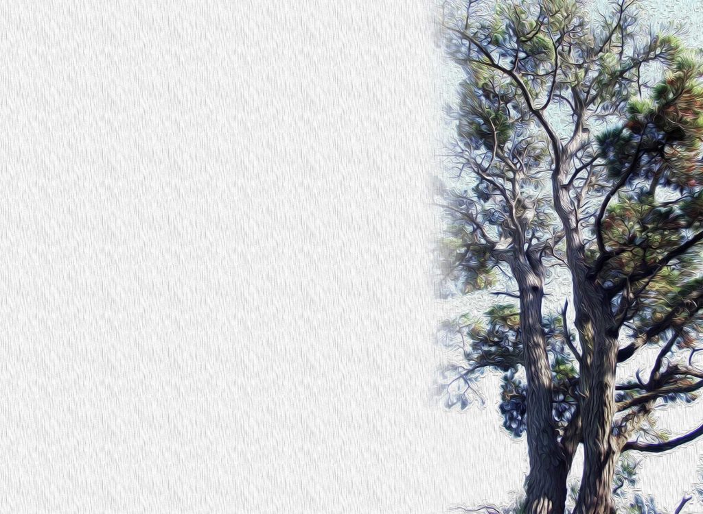 Fondo con textura, estilo pintura al óleo pintura digital arbol